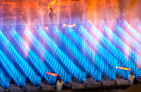 Lidgett Park gas fired boilers